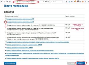 Сервис для оплаты госпошлины